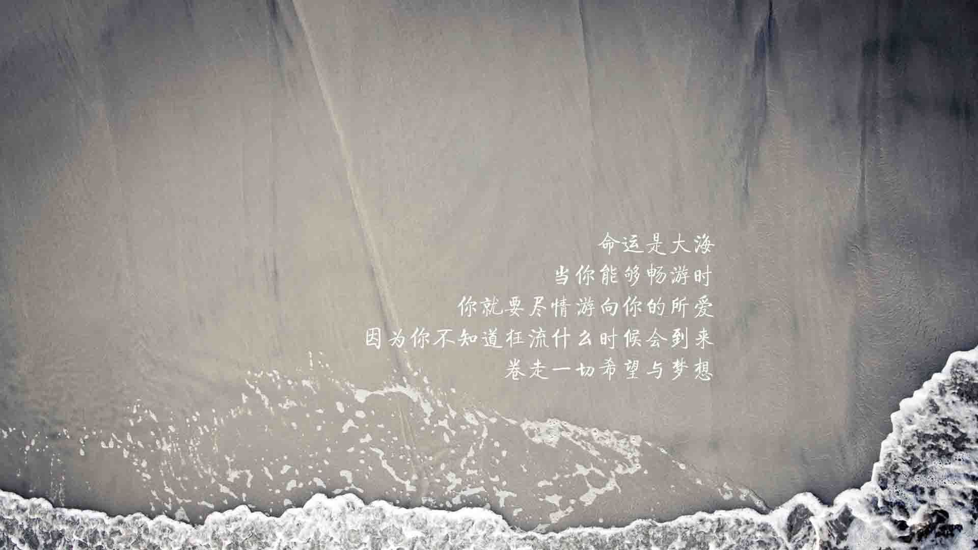 WRC车队全纪录：幕后艰辛与辉煌瞬间，wrc参赛车队2020
