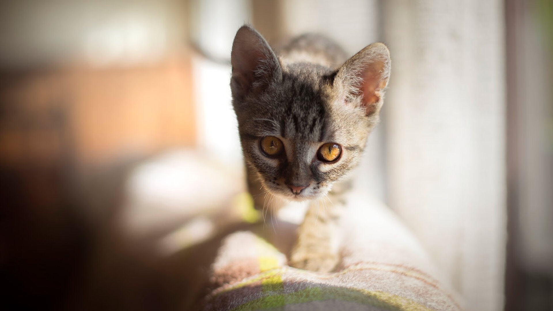 日本奥运足球队展现新一代风采，日本足球 奥运会