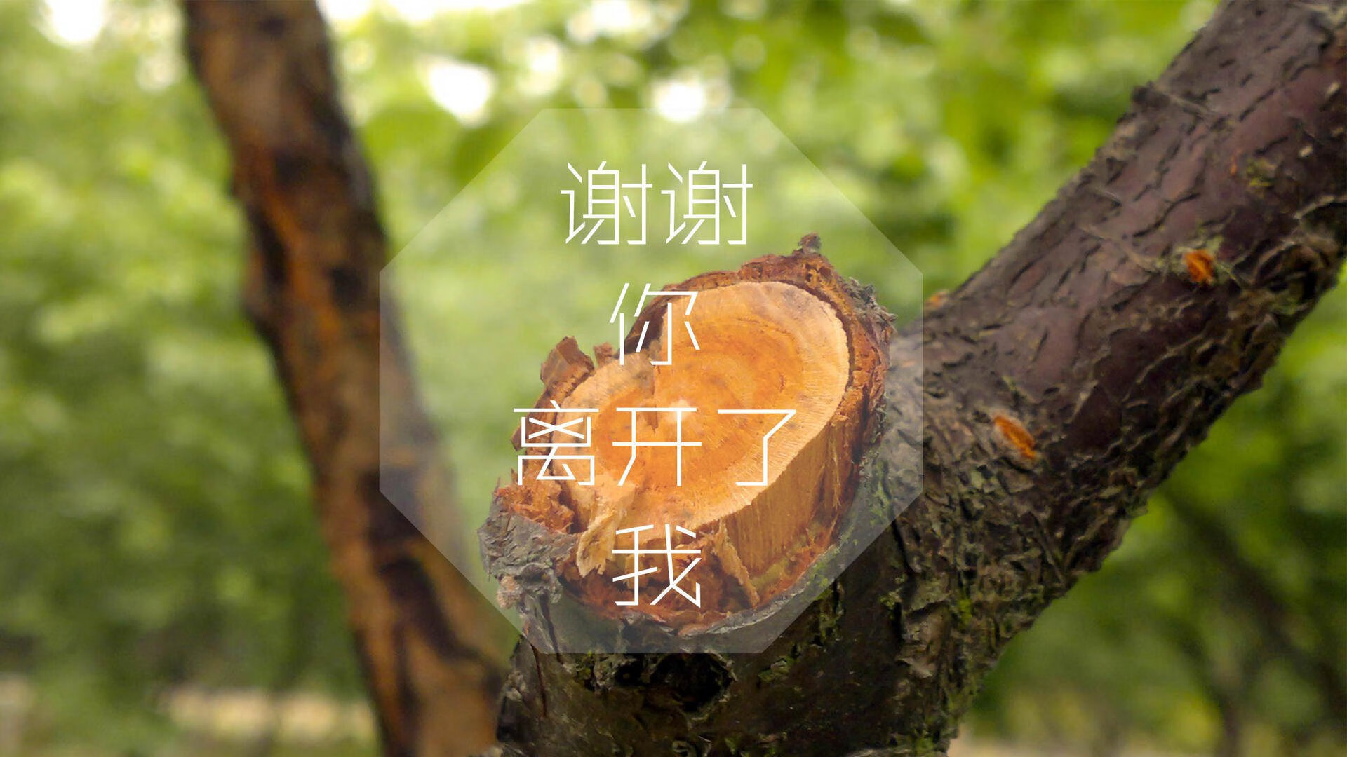 “极速穿越极限，惊心动魄一瞬间”——WRC年度最燃超车大典，wrc经典赛车
