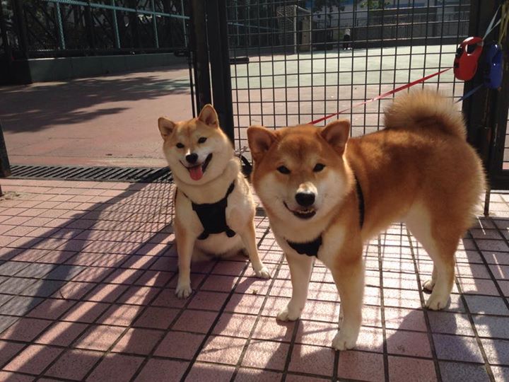 爱游戏体育（AYX）官方APP下载-《Dota 2决赛逆转奇迹，高潮迭起燃爆全场》，dota2最经典的比赛