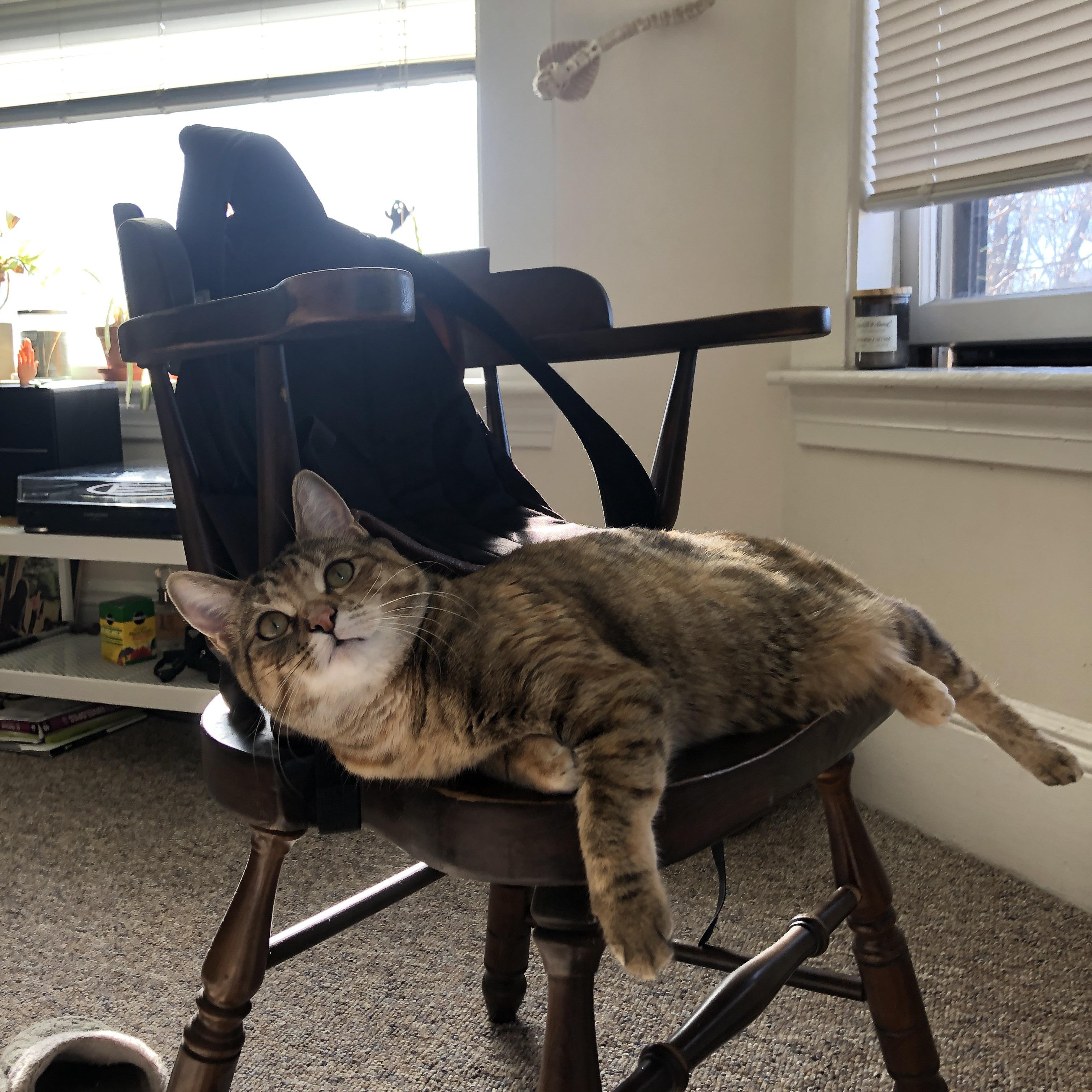 AYX官网-中国篮球运动员海外联赛表现亮眼，国际影响力不断扩大，海外打球的中国篮球