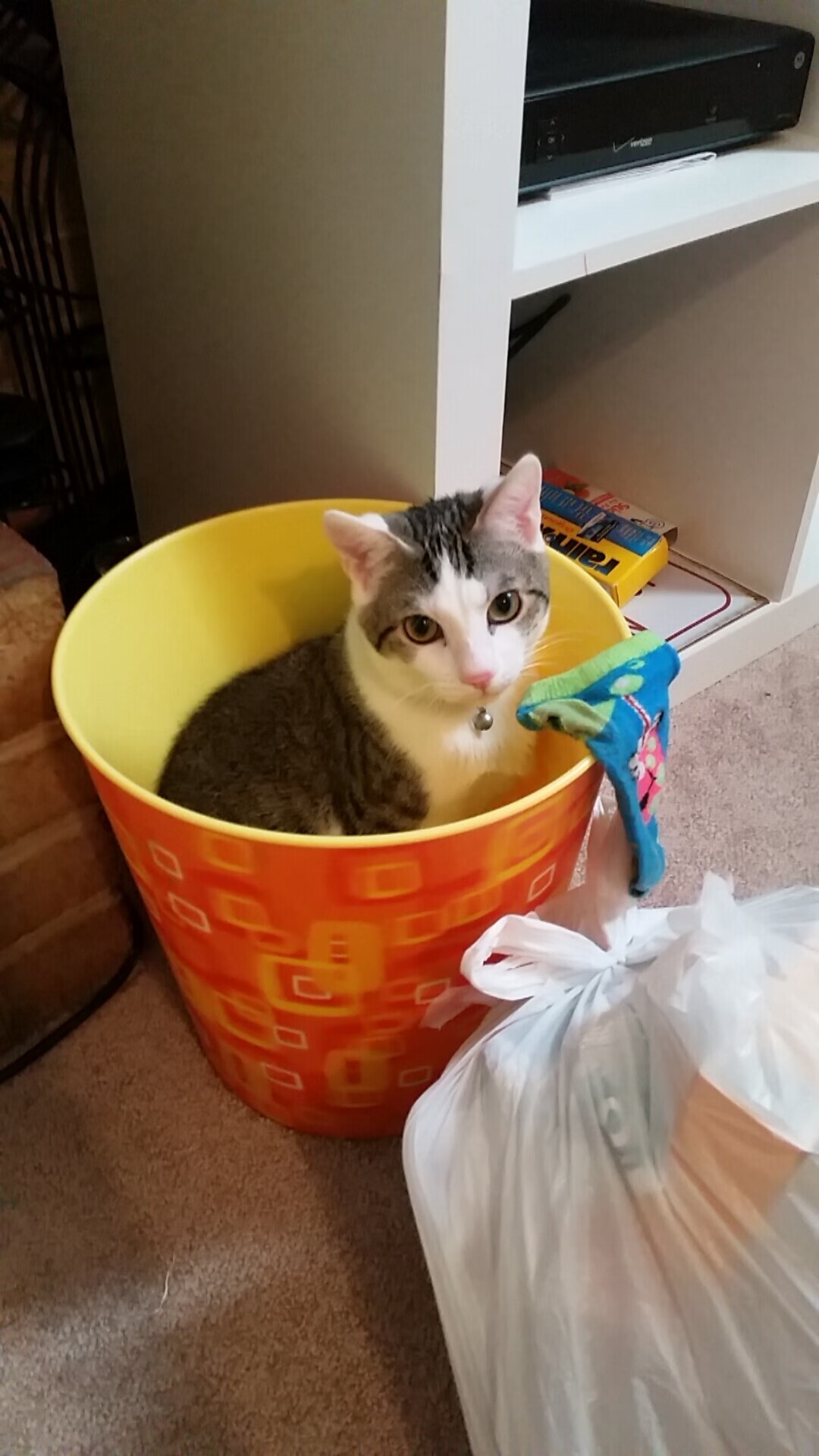 中国篮球运动员海外联赛表现亮眼，国际影响力不断扩大，海外打球的中国篮球