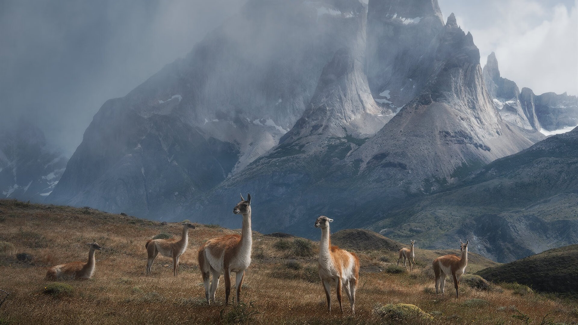 传统陶艺与竞技结合,文化运动新体验,传统陶艺作品