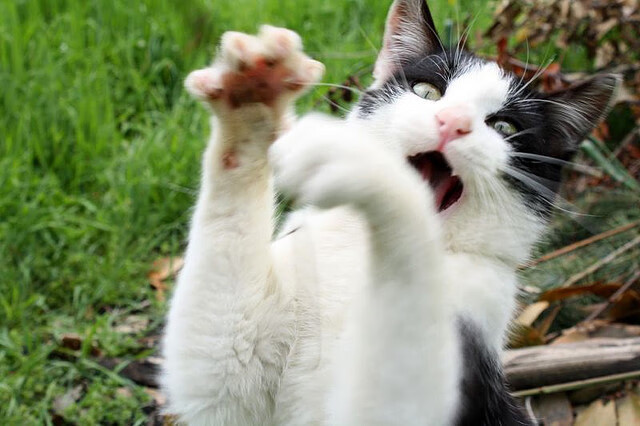 守望先锋 新版本玩法获好评,守望先锋2021年7月2日更新